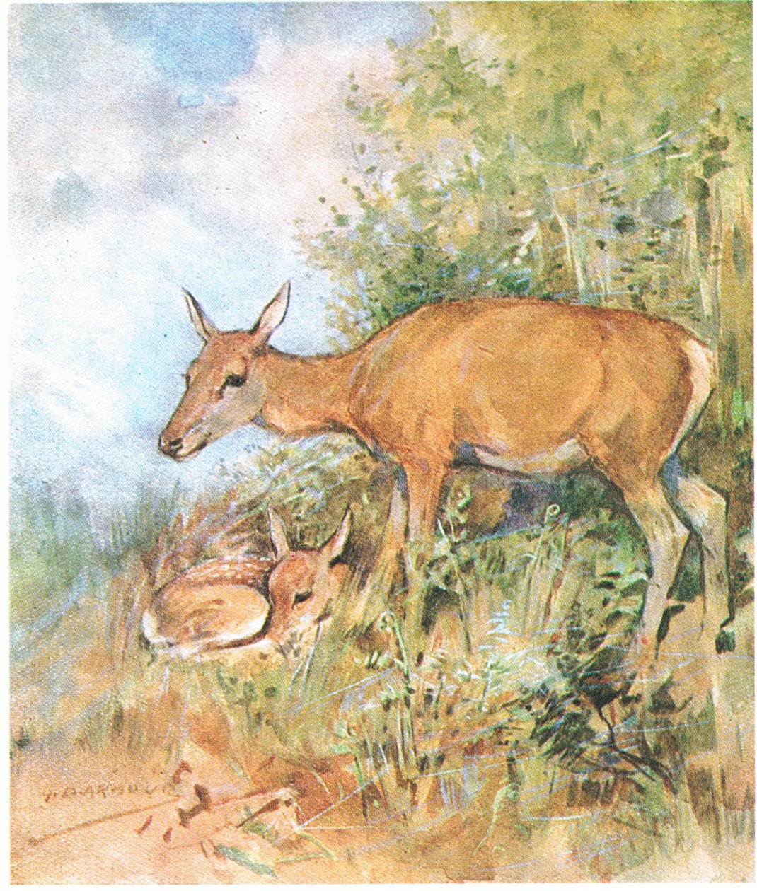 Vždy pro něj měla připravenou útulnou postel v trávě nebo kapradí (barva litho) od George Denholm Armour