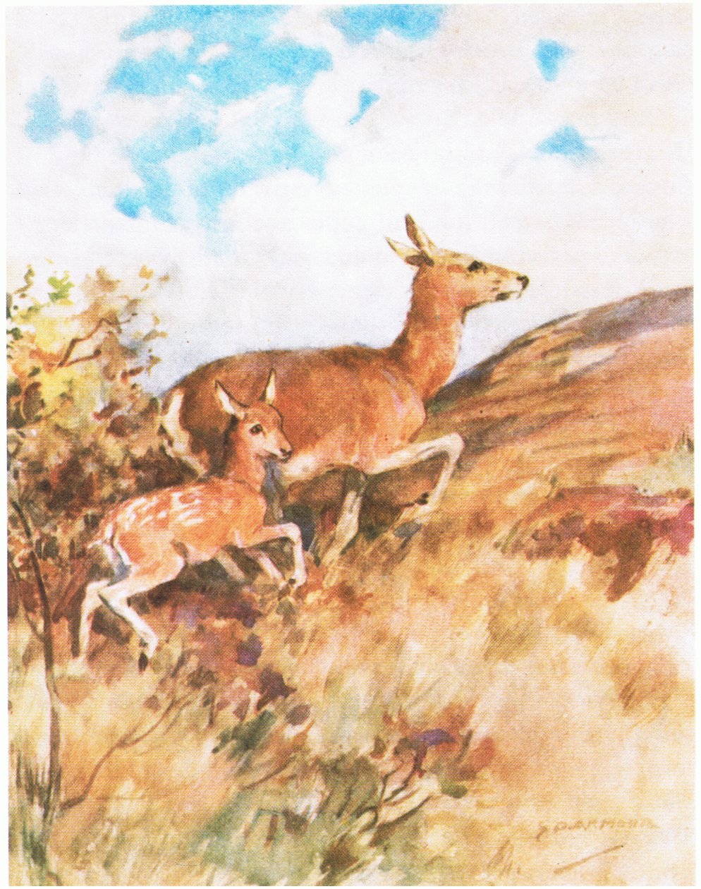 Tawny se otočila a utekla a naléhala na Rustyho, aby ji následoval (barva litho) od George Denholm Armour