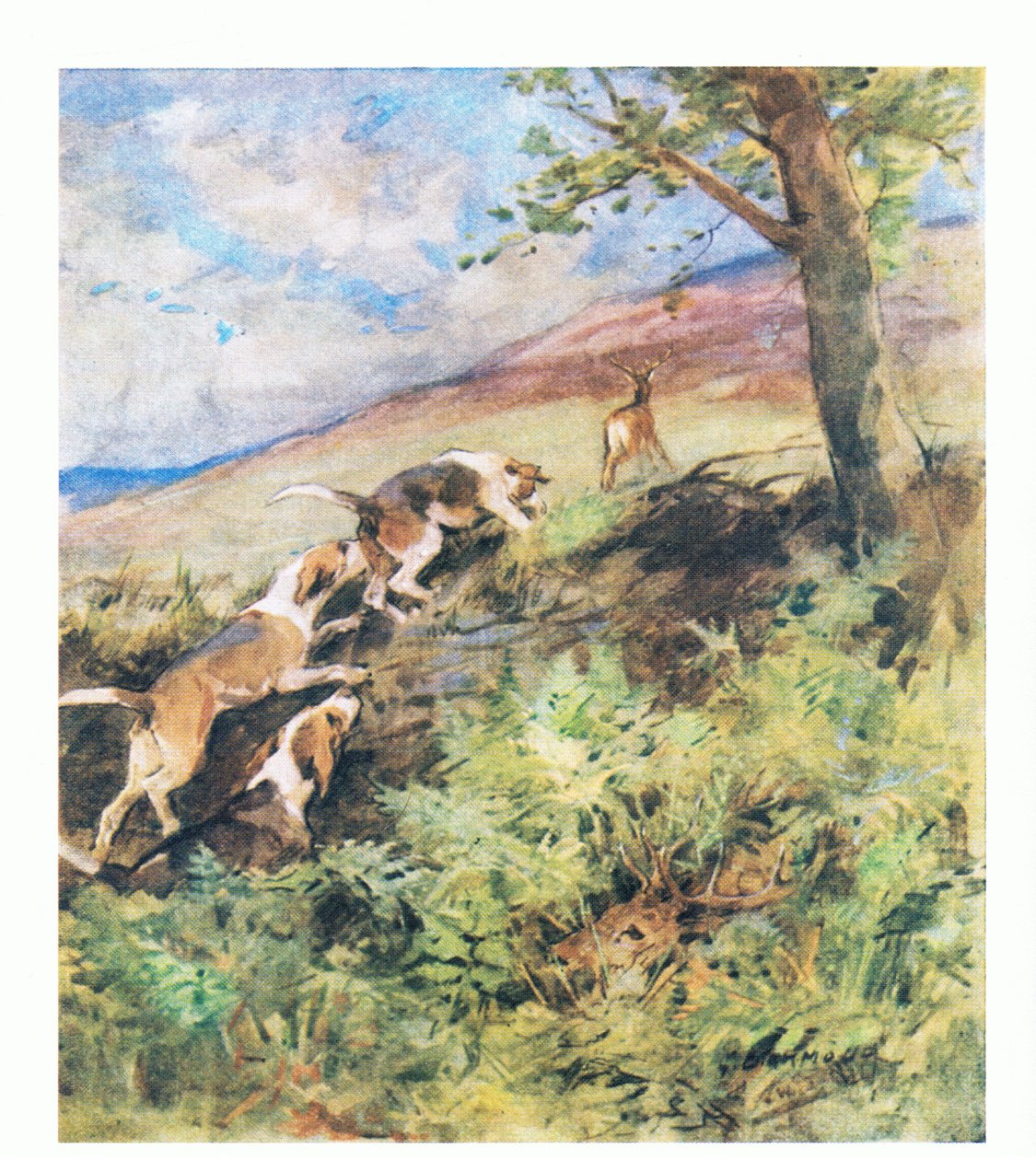 Starý jelen si lehl do Rustyho postele, zatímco mladší jelen vyrazil s pronásledovanými psy (barva litho) od George Denholm Armour