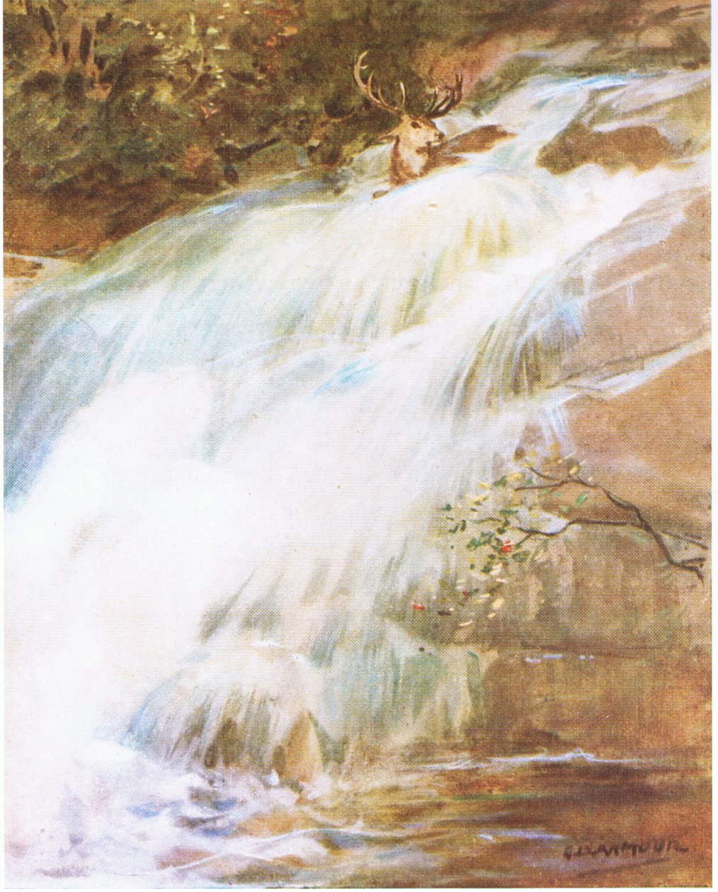 Vyhodil hlavu vysoko do vzduchu v posledním aktu vzdoru a vrhl se do vodopádu (barevná litho) od George Denholm Armour