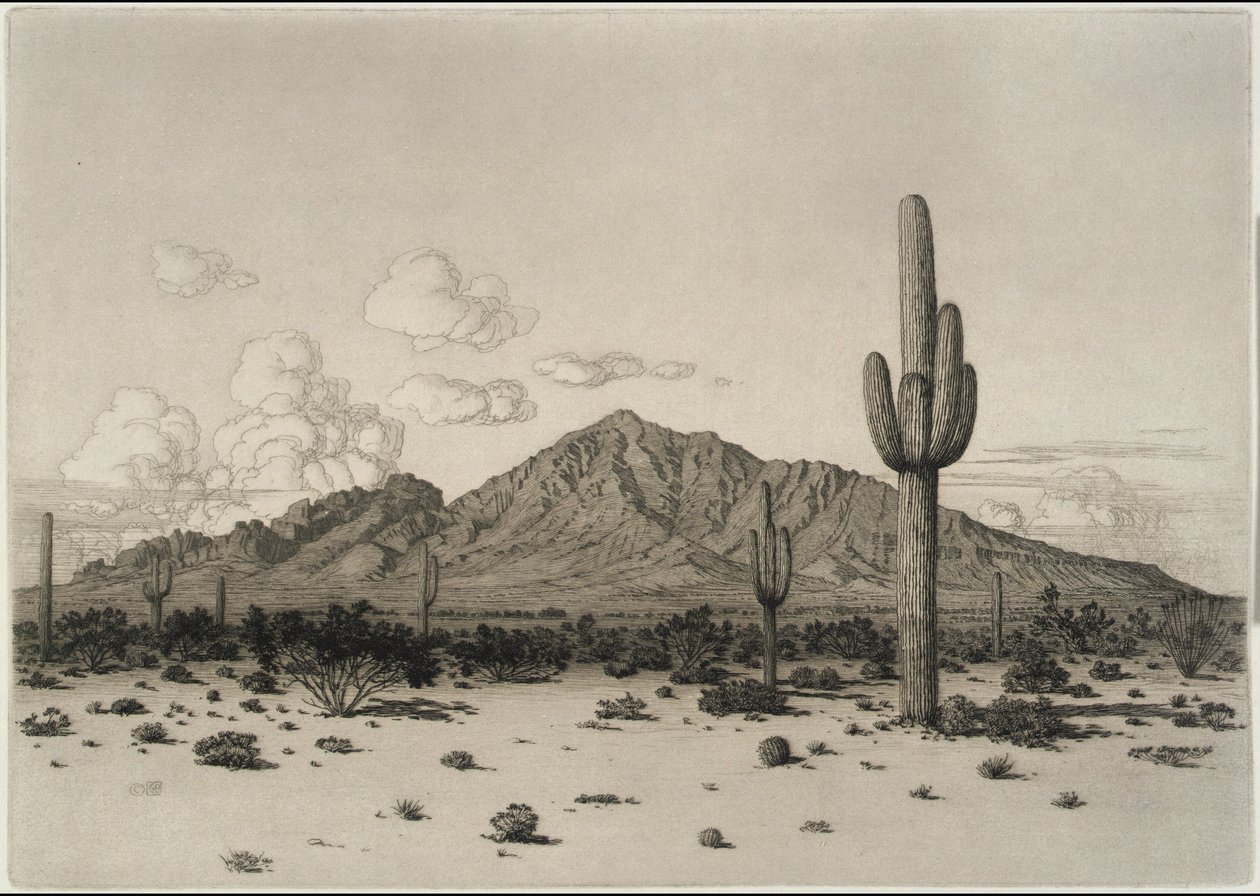 Hora Camelback, Phoenix od George Elbert Burr