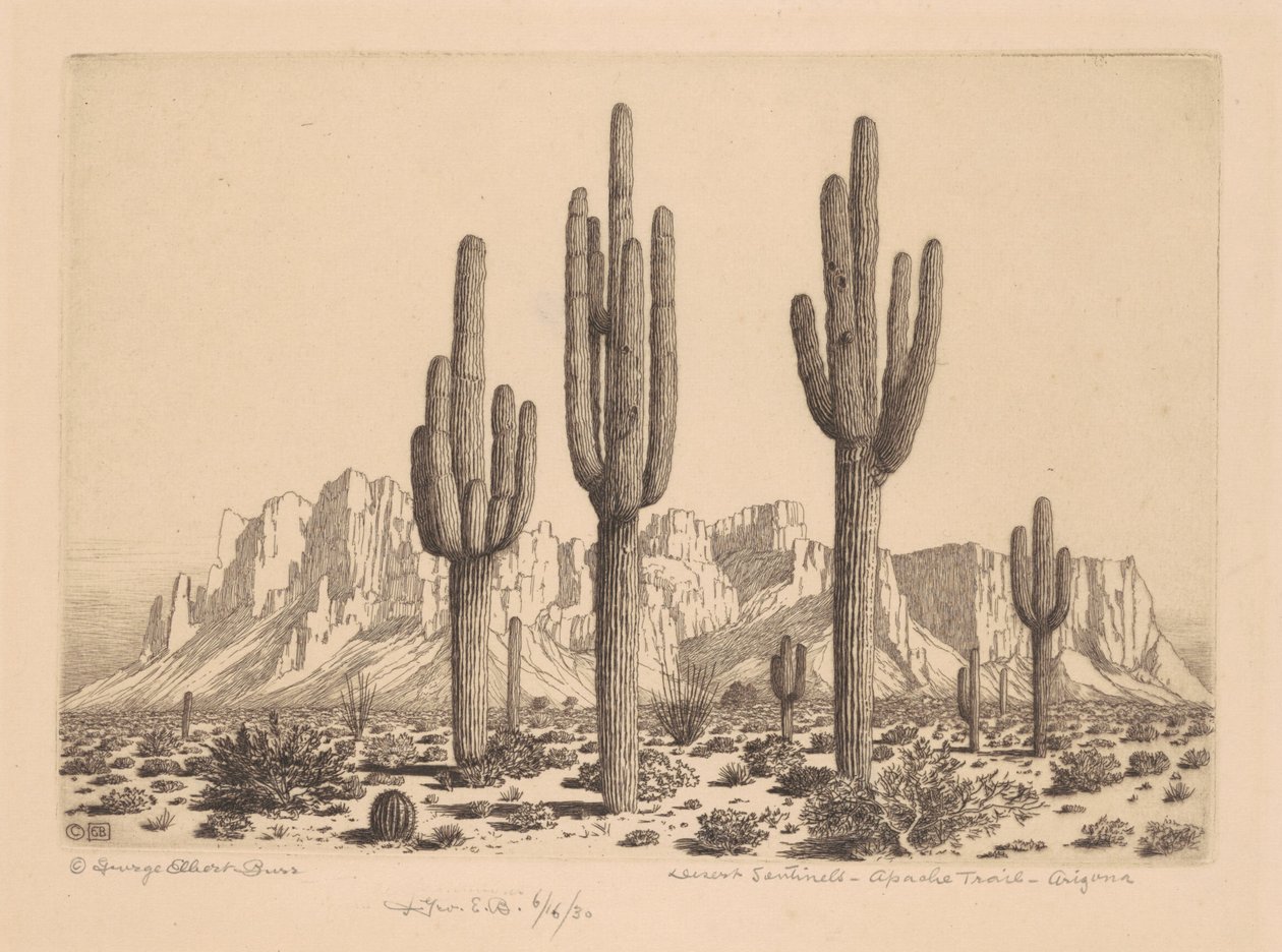 Desert Sentinels, Apache Trail, Arizona od George Elbert Burr