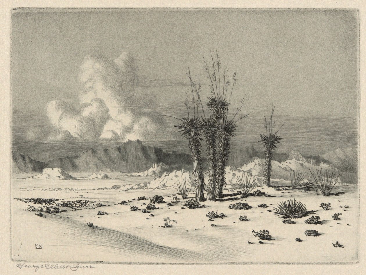 Večer, Arizona od George Elbert Burr