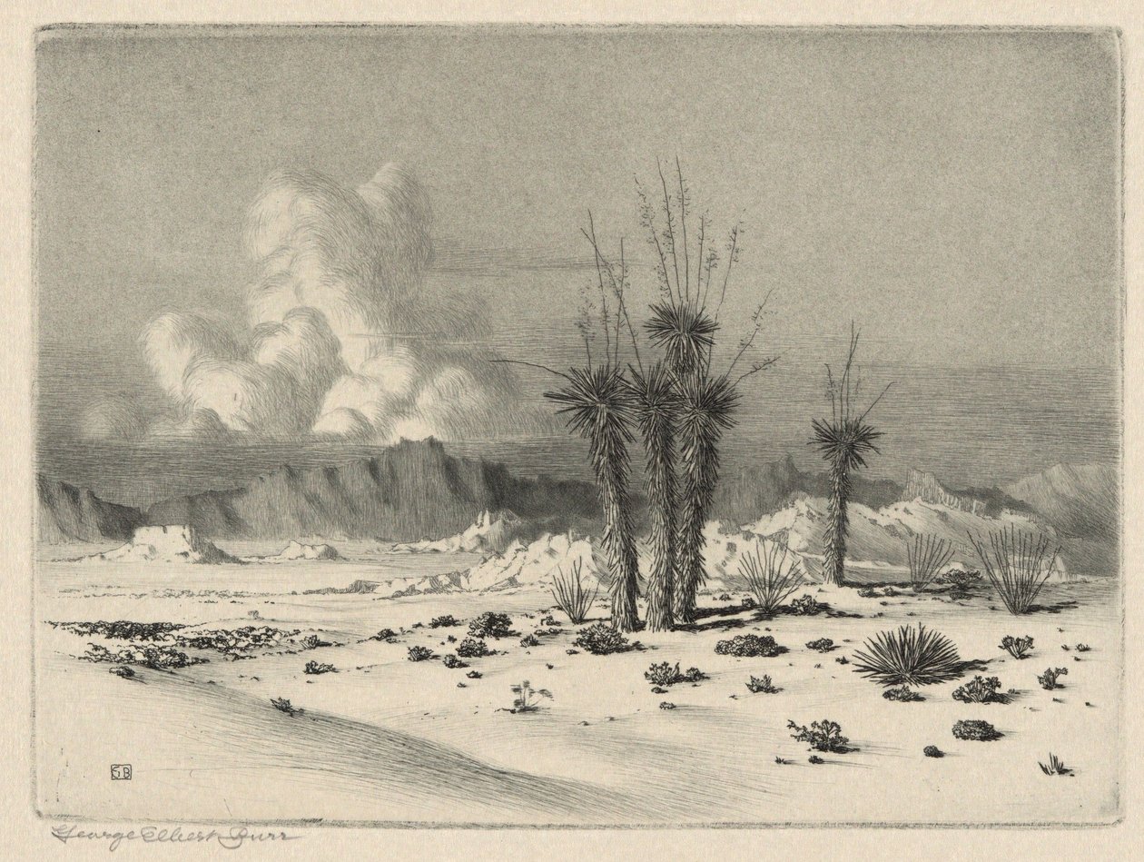 Večer, Arizona od George Elbert Burr