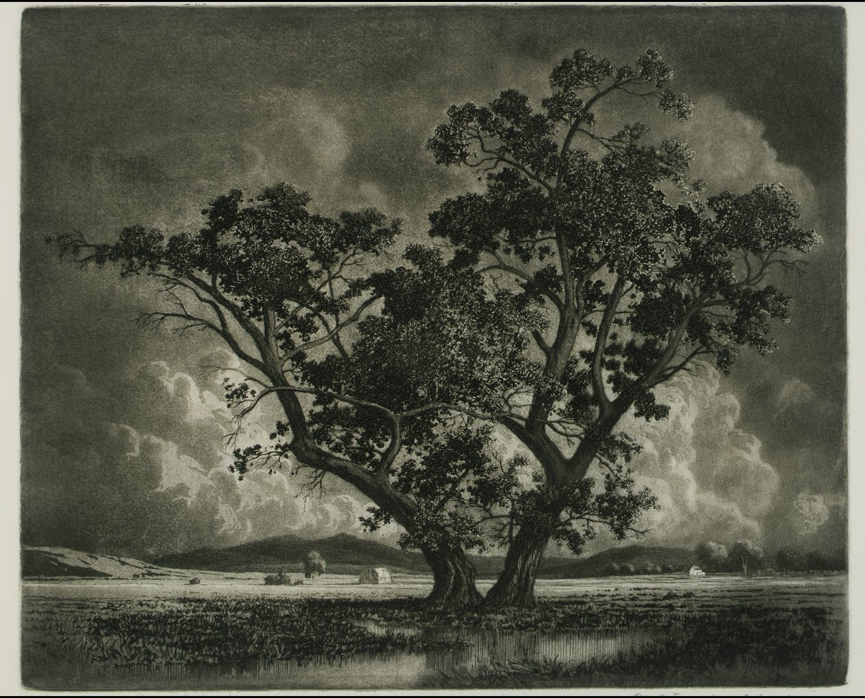Old Cottonwoods, Colorado od George Elbert Burr