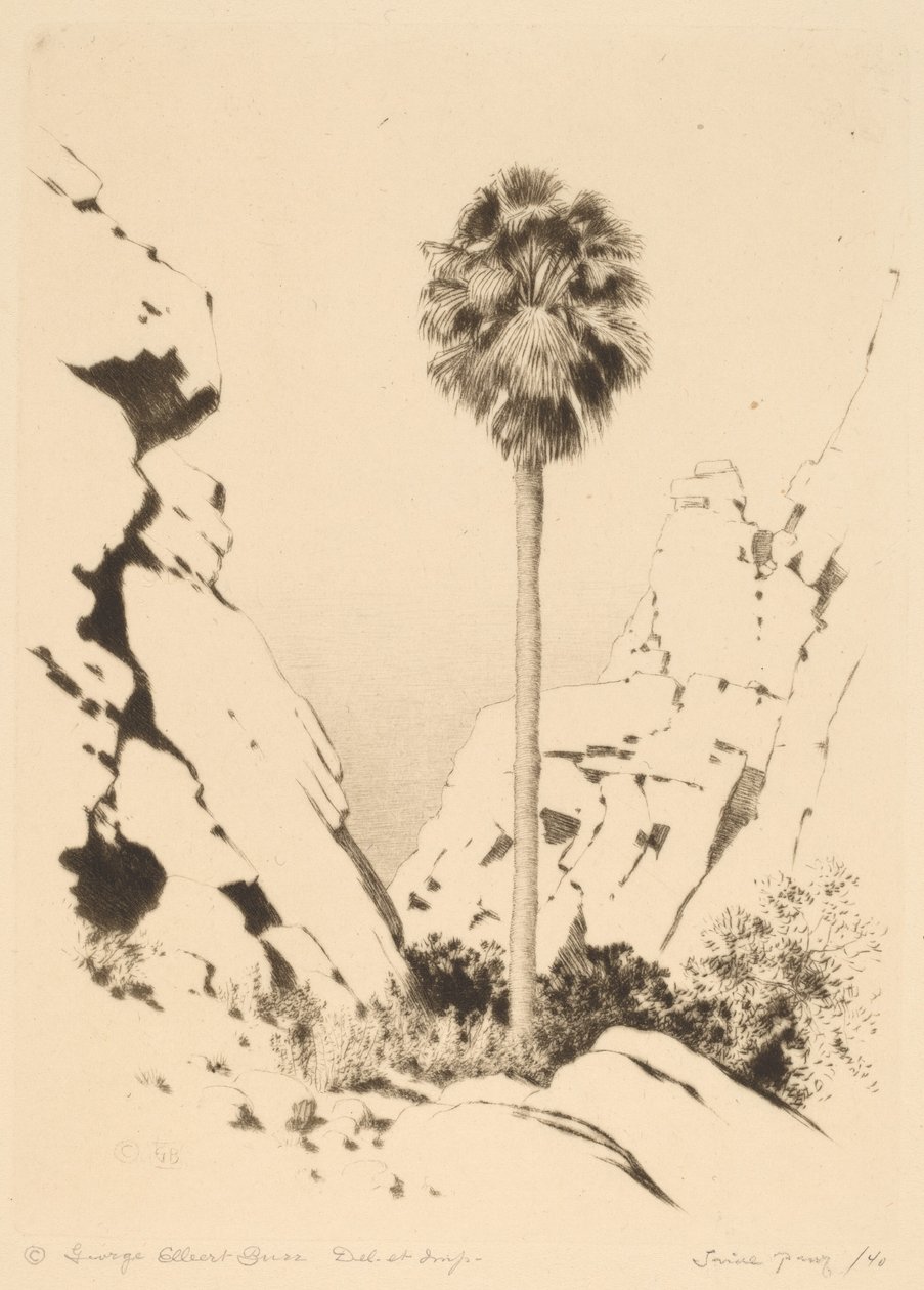 Palm Canyon (č. 1) od George Elbert Burr