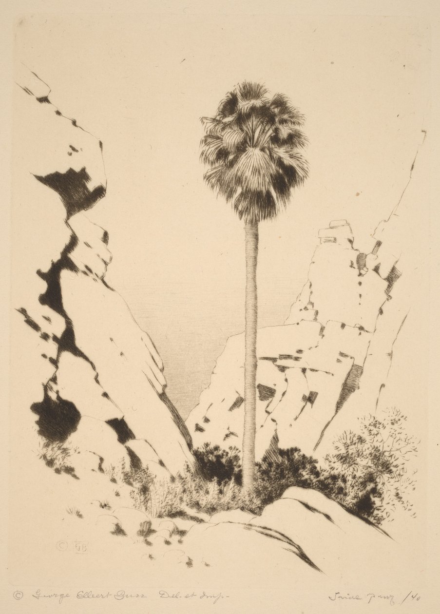 Palm Canyon (č. 1) od George Elbert Burr