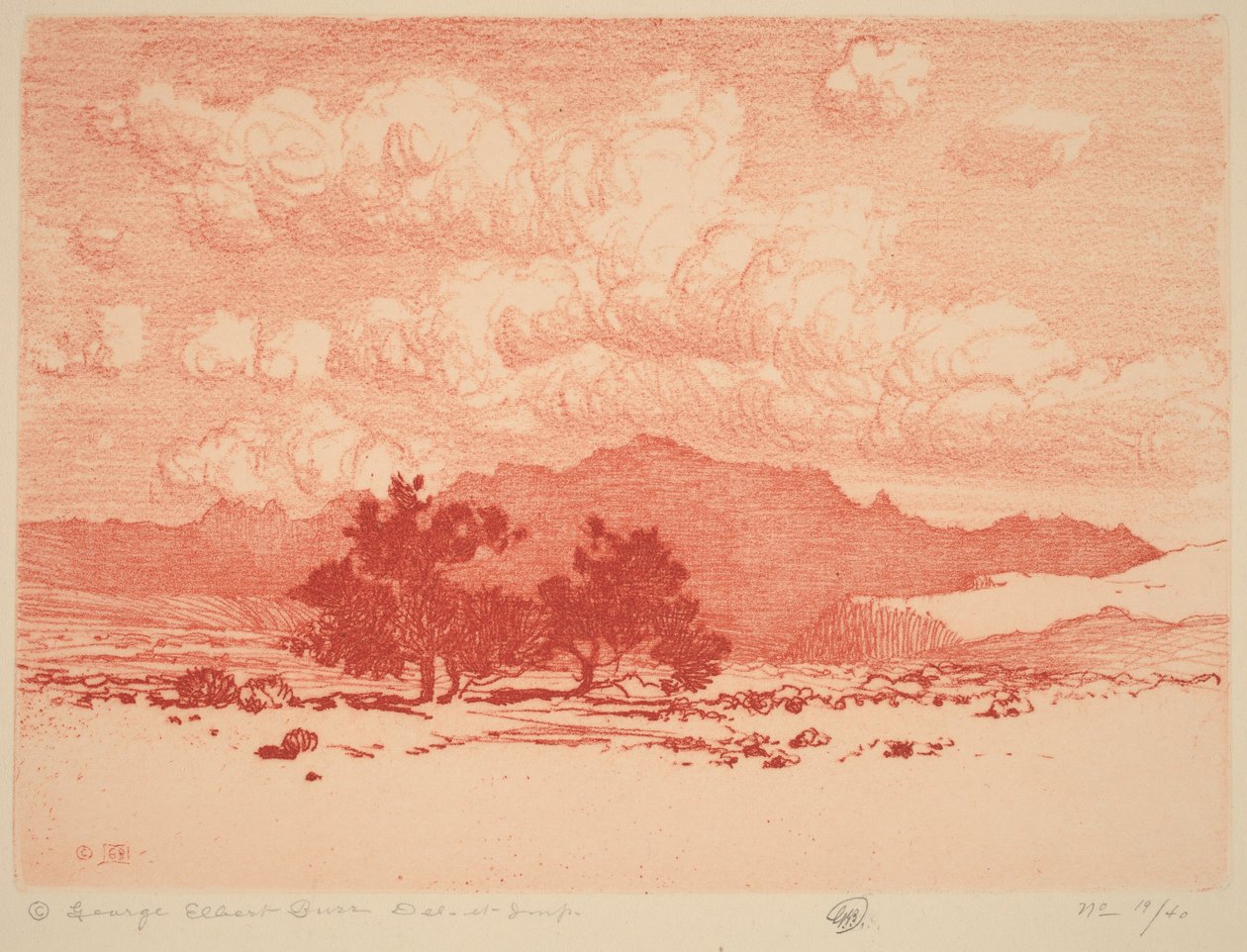Stromy palo verde od George Elbert Burr