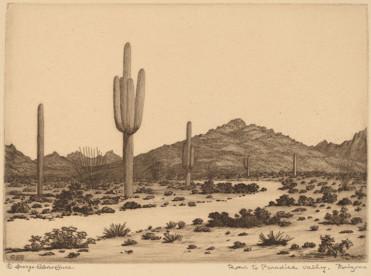 Cesta do Paradise Valley, Arizona od George Elbert Burr