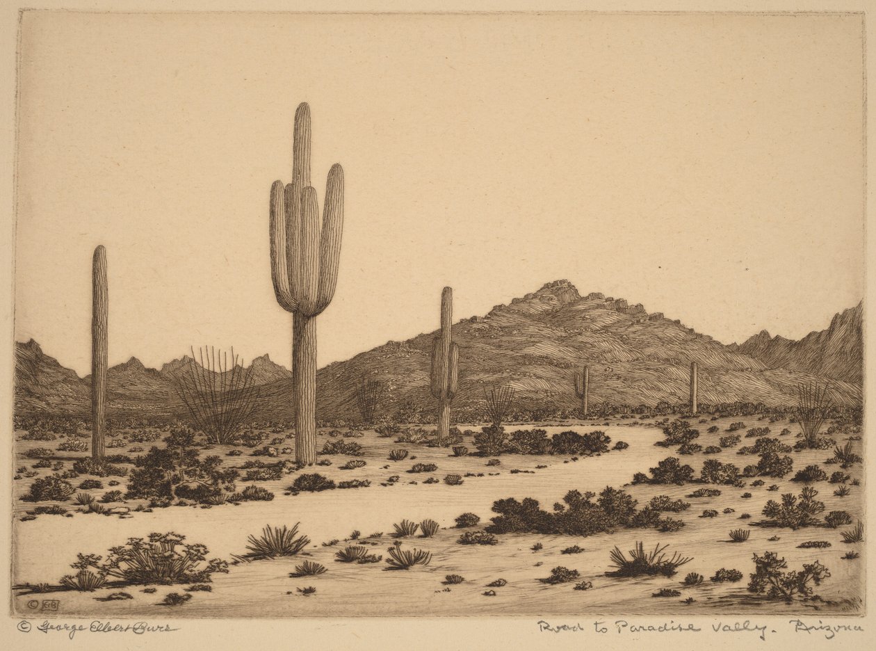 Cesta do Paradise Valley v Arizoně od George Elbert Burr