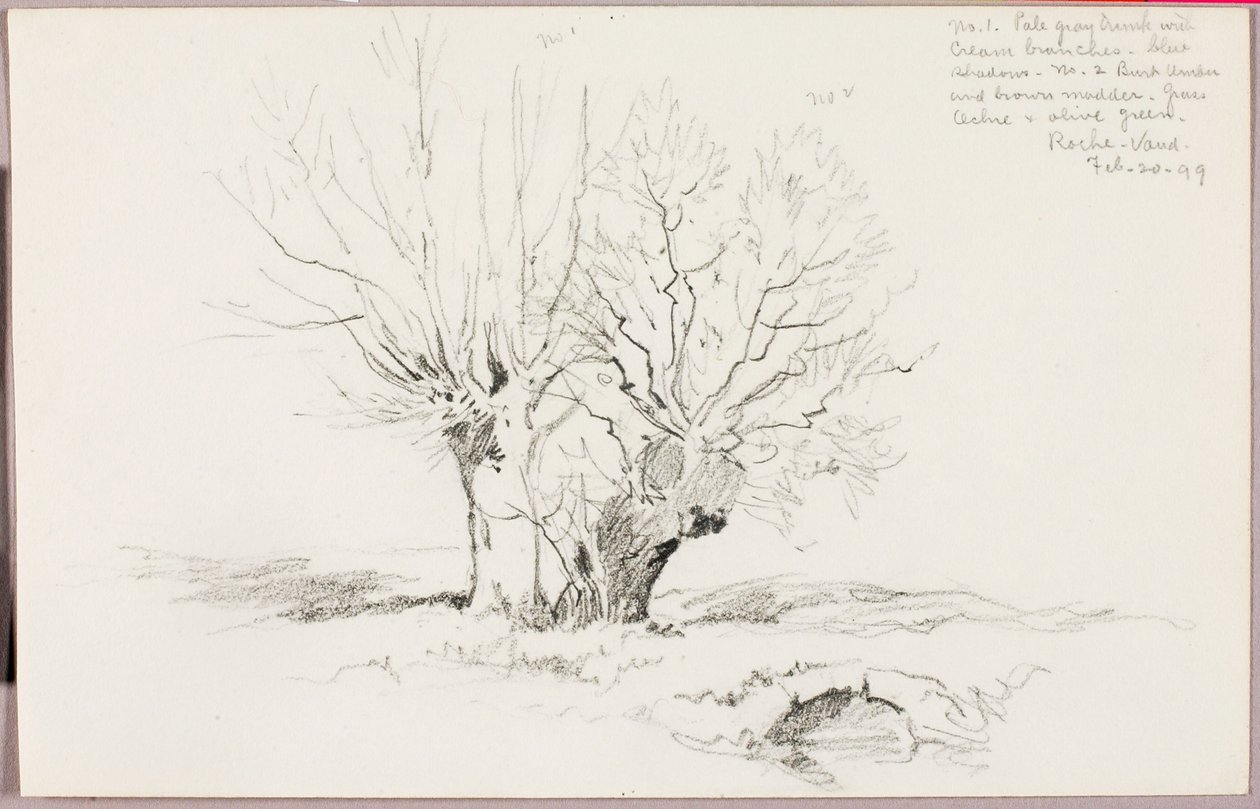 Roche Vaud od George Elbert Burr