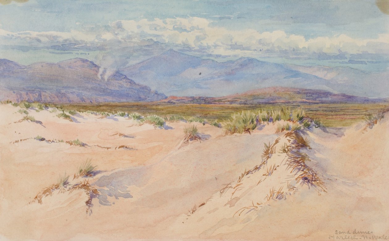 Písečné duny, Harlech, Severní Wales, 1899. od George Elbert Burr