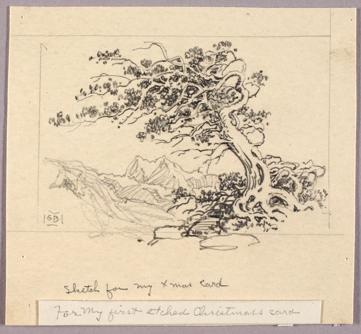 Skica k vánočnímu přání (Windswept Pine [č. 1]) od George Elbert Burr