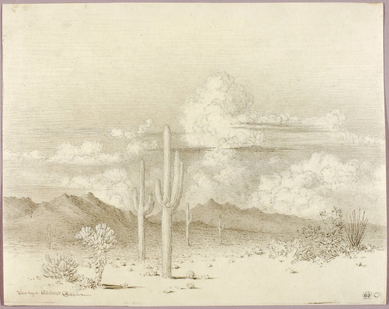 Bez názvu (přenosová kresba pro Večer, Paradise Valley, Arizona) od George Elbert Burr