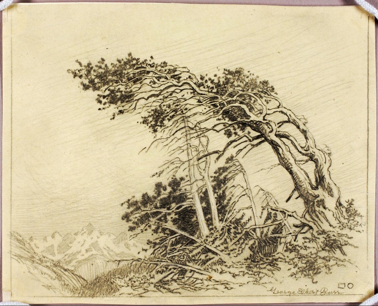 Bez názvu (převodní kresba pro Domov větrů [č. 1]) od George Elbert Burr