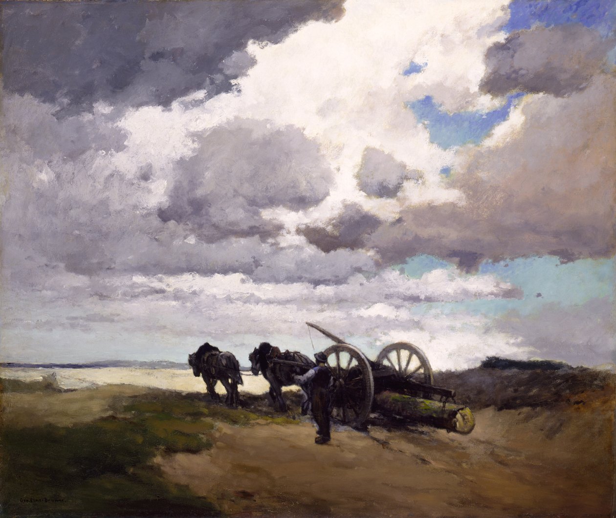 Tým Wain od George Elmer Browne