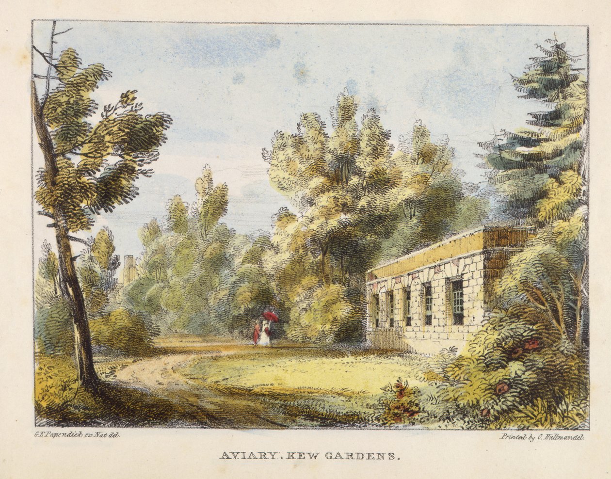 Voliéra, Kew Gardens, deska 10 z Kew Gardens: Série 24 kreseb na kameni, vyryto Charlesem Hullmandlem (1789-1850) vydáno 1820 (ručně kolorované lito) od George Ernest after Papendiek