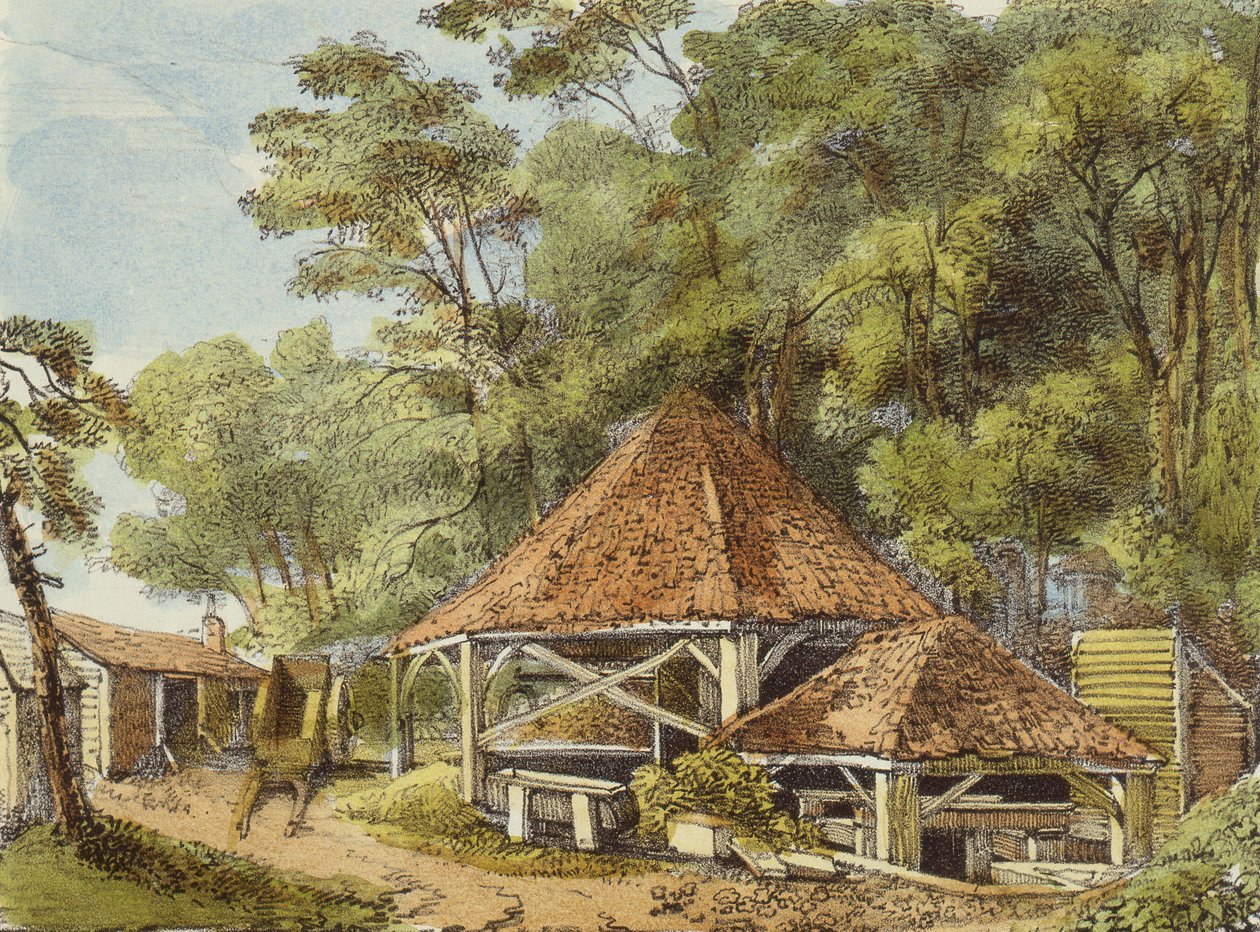 Water Works, Kew Gardens, deska 22 z Kew Gardens: Série 24 kreseb na kameni, vyryto Charlesem Hullmandlem (1789-1850) vydáno 1820 (ručně kolorované lito) od George Ernest after Papendiek
