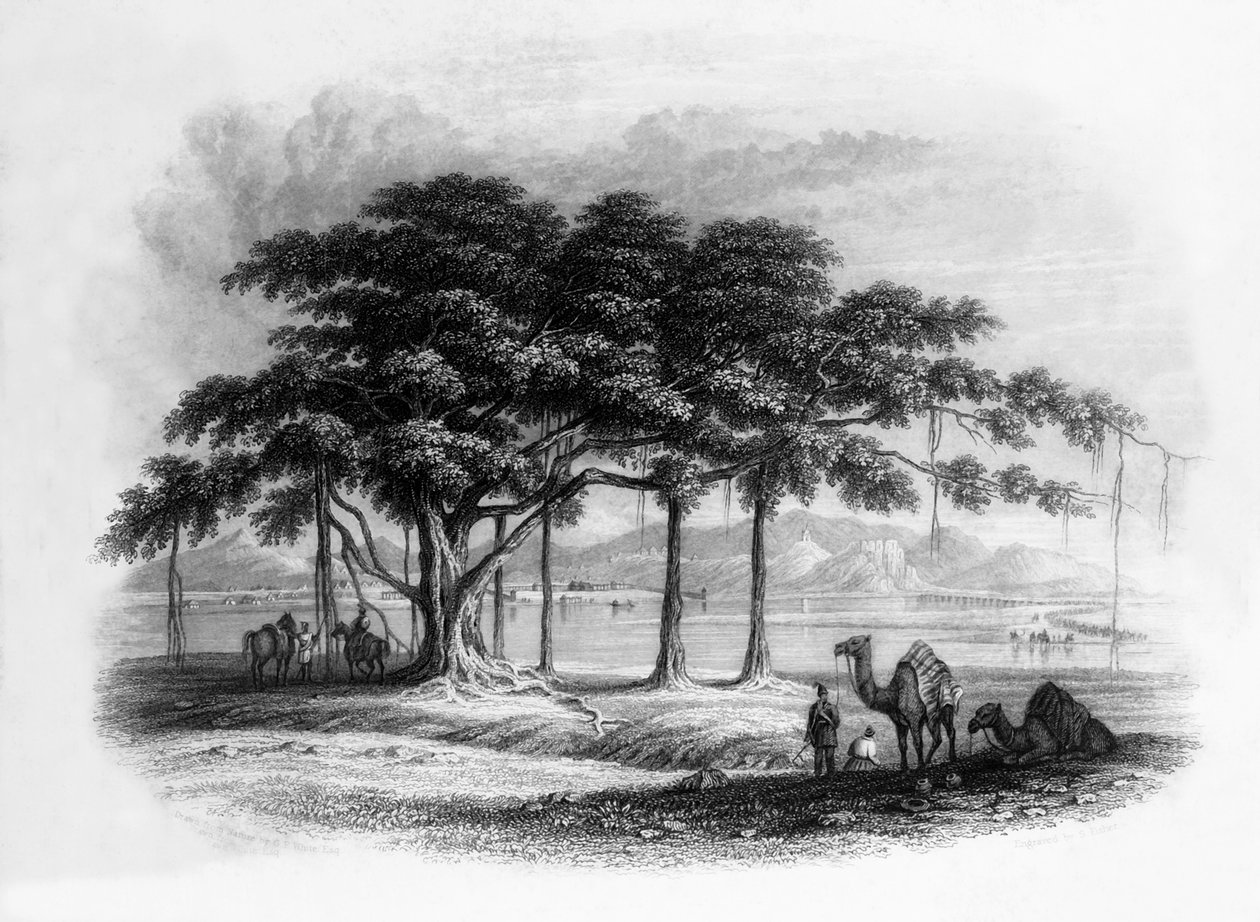 „Tábor Runjeet Singh v Roopur, na řece Sutlej“, 1838. od George Francis White