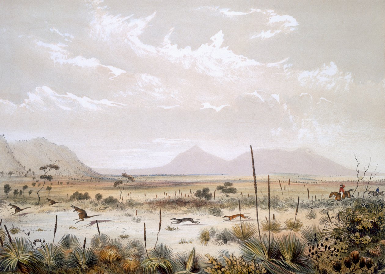 Kangaroo Hunting poblíž Port Lincoln, z ‚South Australia Illustrated‘, vydáno 1847 (ručně kolorovaná rytina) od George French Angas