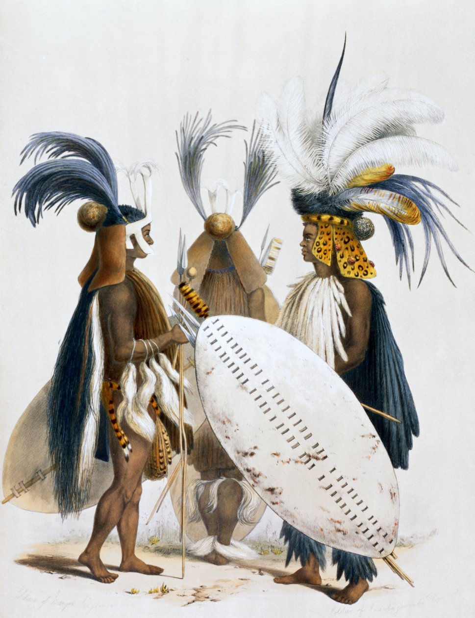 „Zuluští vojáci armády krále Pandy“, 1849 od George French Angas