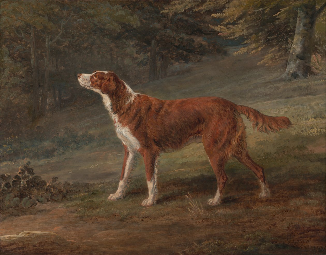 Ranger, setr, majetek Elizabeth Grayové od George Garrard