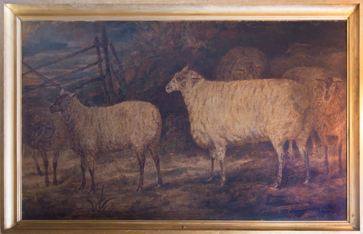 Zlepšení plemene ovcí South Down v Holkhamu v Norfolku, 1793-1807 od George Garrard