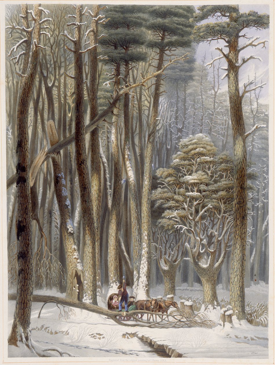 Winter, Impeded Travelers in a Pine Forest, z Harveys Scenes of the Primitive Forest of America, 1841 (ručně kolorovaná akvatinta) od George Harvey