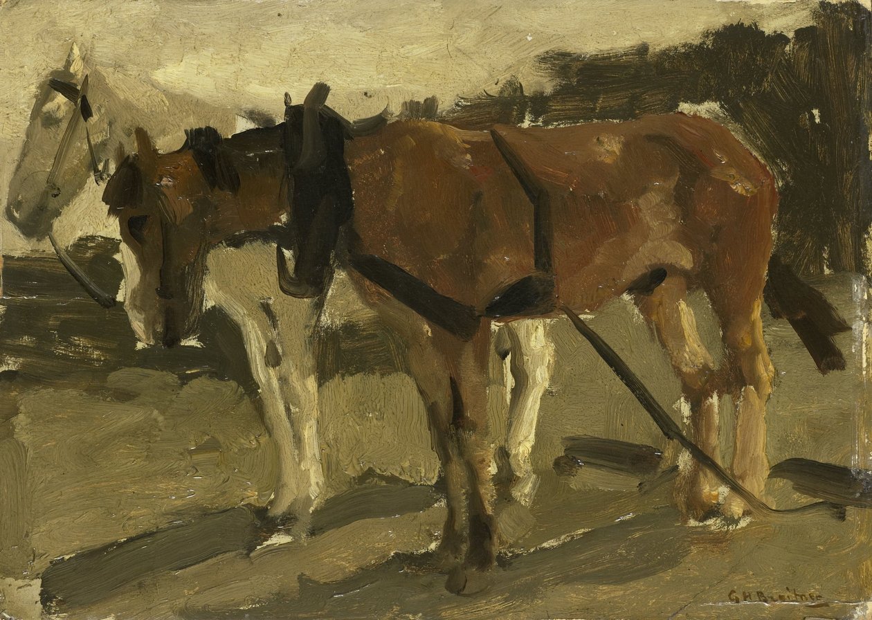 Hnědý a bílý kůň v Scheveningenu od George Hendrik Breitner