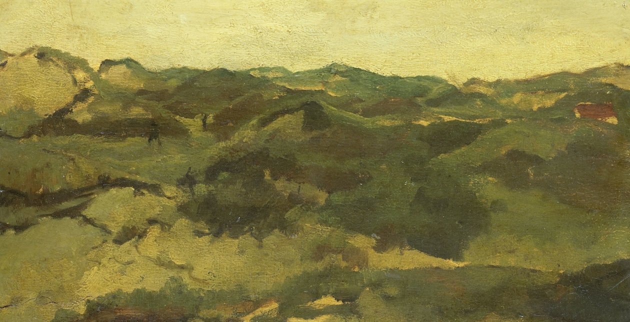 Krajina vřesovišť, pravděpodobně v Drenthe od George Hendrik Breitner
