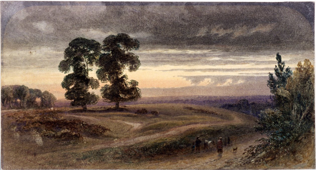 Celkový pohled na Hampstead, Londýn, 1849 od George Henry Hine