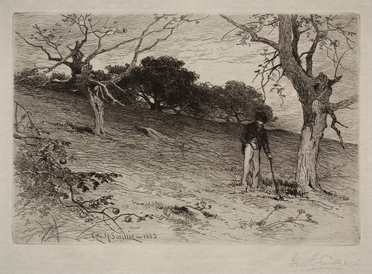 Krajina, 1883. od George Henry Smillie