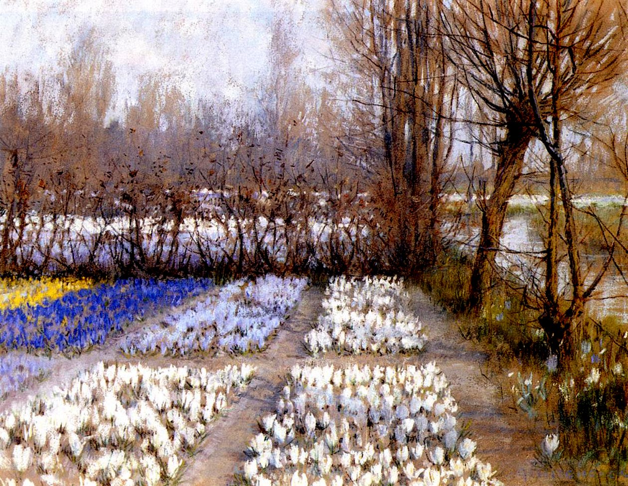 Krokusové pole na jaře, kolem roku 1889 (pastel na papíře) od George Hitchcock