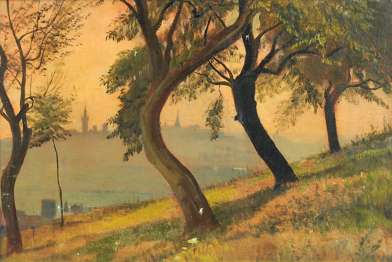 Friedberg v Hesensku z Johannisberg Nauheim, 1903 od George Howard