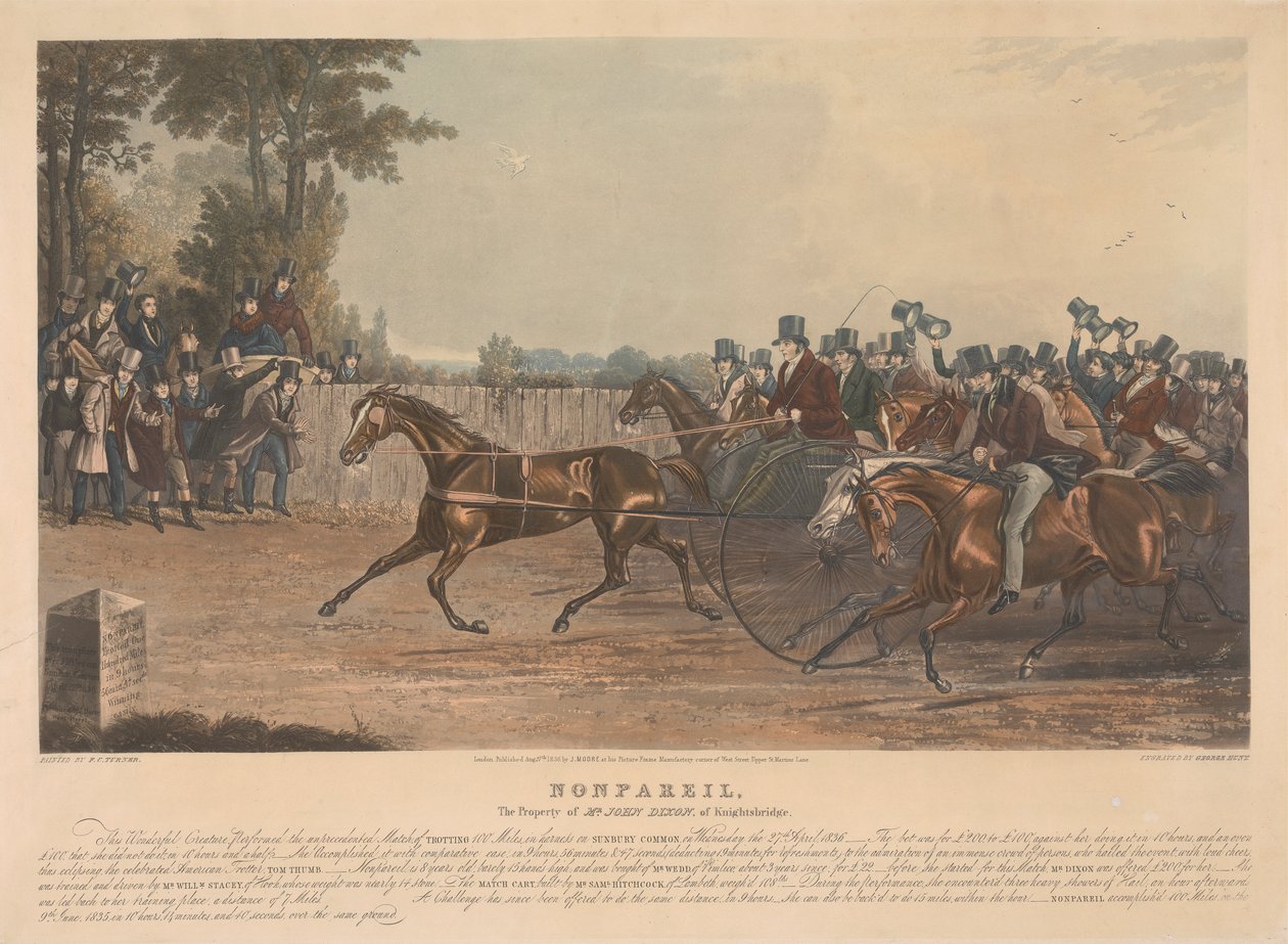 "Nonpareil" / Majetek pana Johna Dixona z Knightsbridge / Tato úžasná bytost předvedla ve středu 27. dubna 1836 bezprecedentní zápas v klusu 100 mil v postroji na Sunbury Common. ... od George Hunt