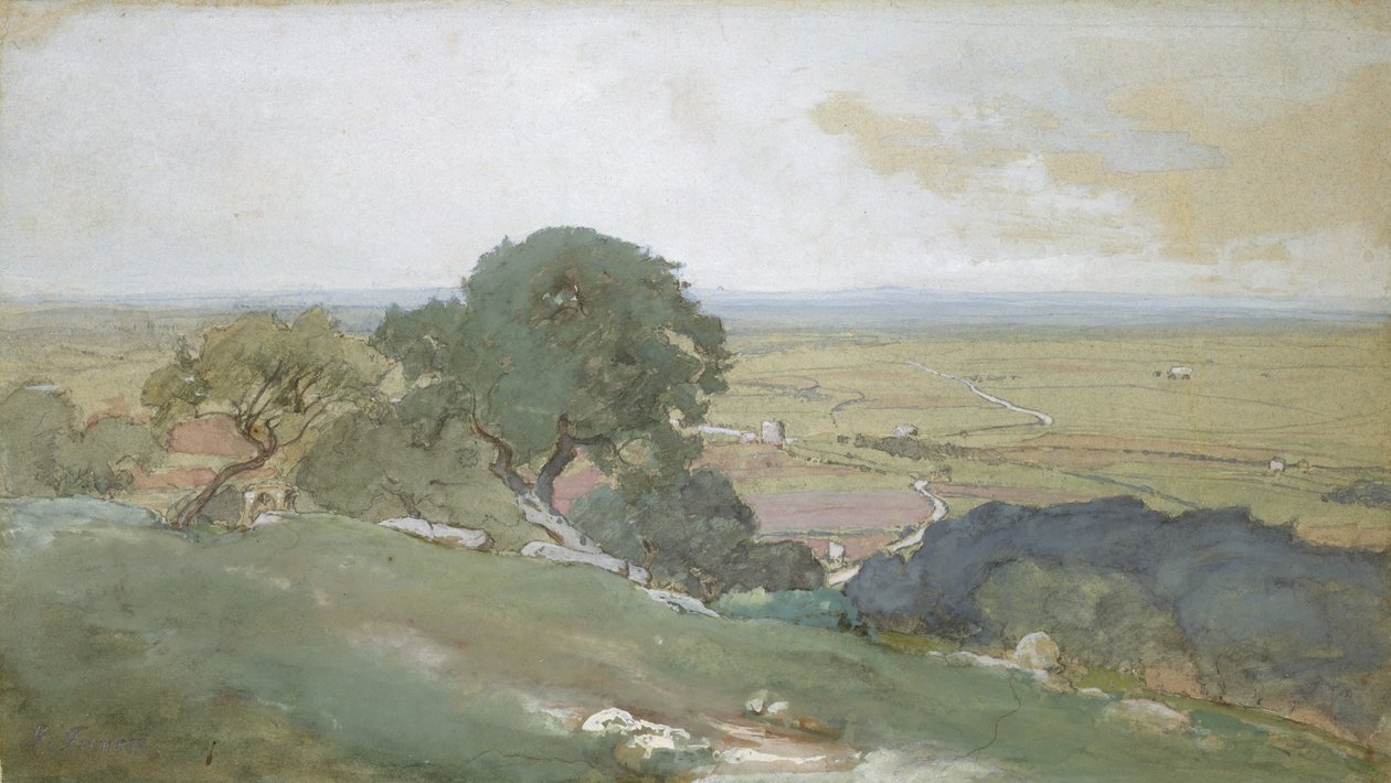 Olivovníky v Tivoli, 1873. od George Inness