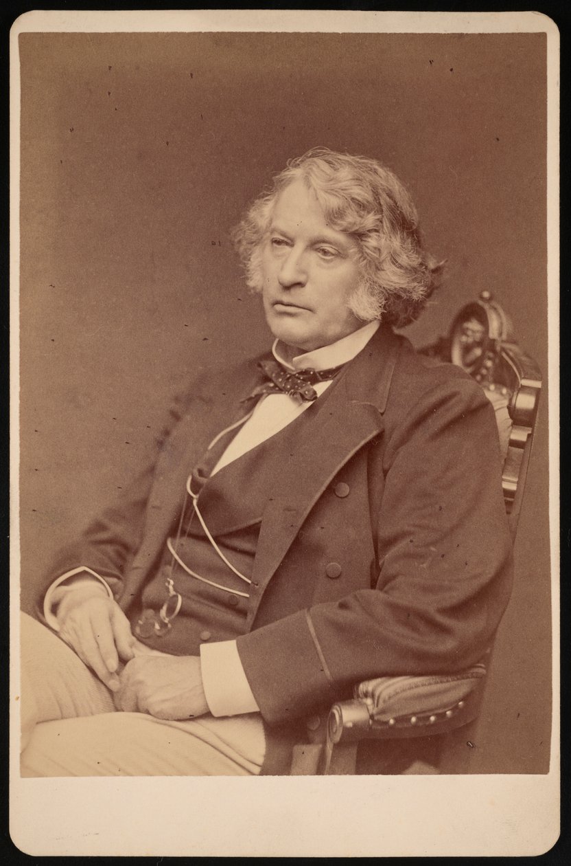 Portrét Charlese Sumnera 1811-1874, před rokem 1874. od George K Warren