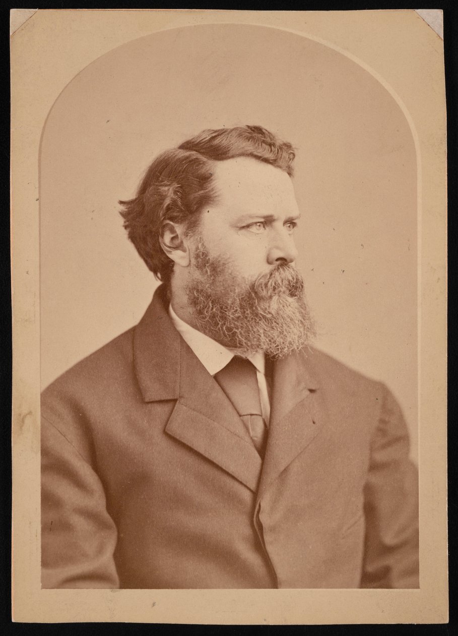 Portrét Olivera Wolcotta Gibbse 1822-1908, mezi 1870 a 1873. od George K Warren