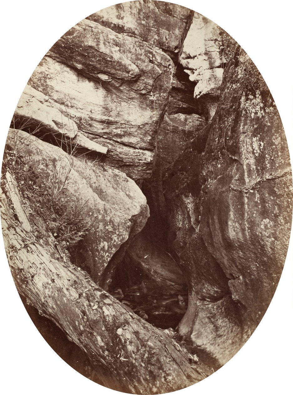 Vodopád poblíž Williams College, c. 1870. od George K Warren