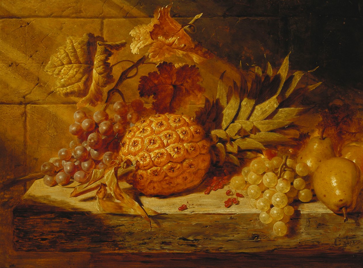 Černobílé hrozny, hrušky, červený rybíz a ananas na římse, 1845 od George Lance