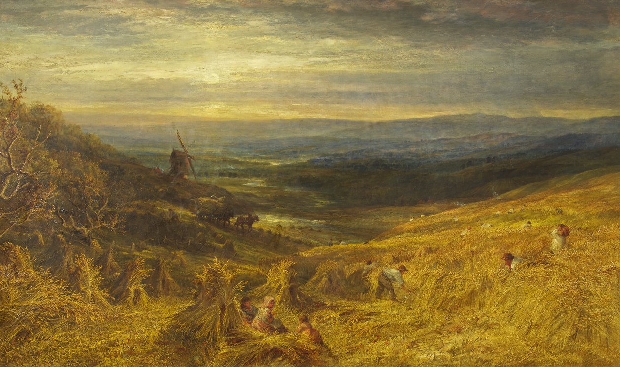 A Surrey Cornfield, kolem roku 1877 (olej na plátně) od George Lucas