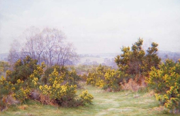 A Surrey Common (akvarel) od George Marks