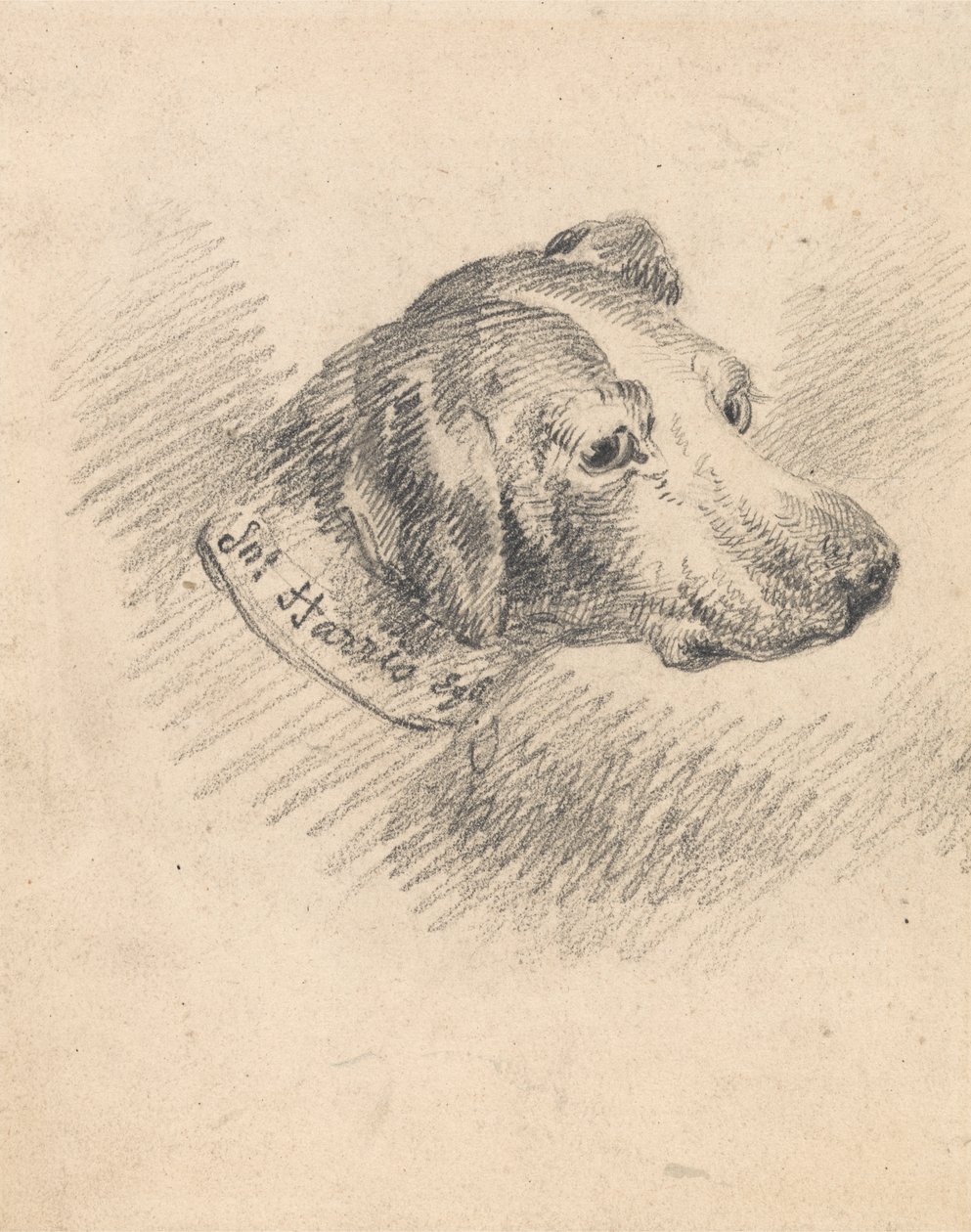 Hlava honiče od George Morland