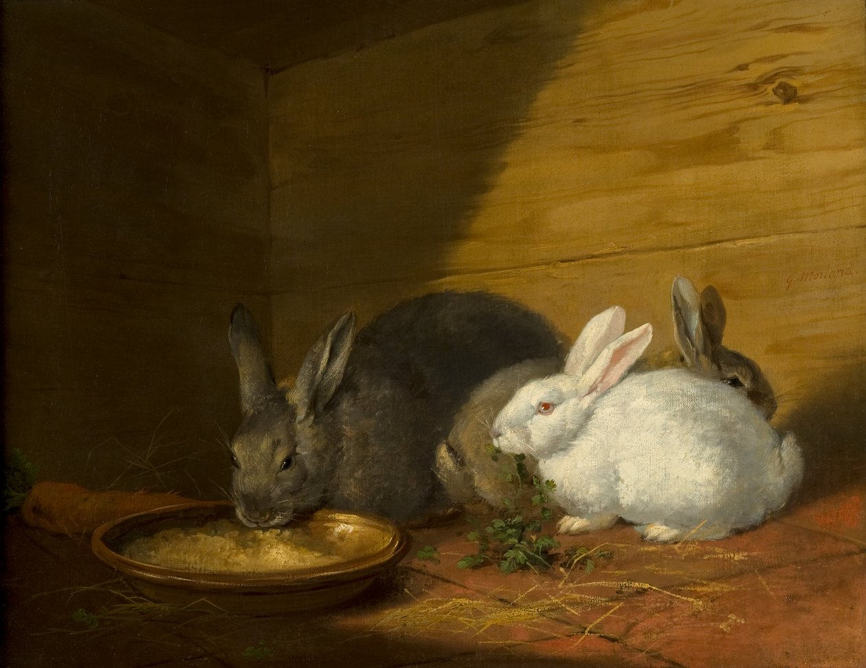 králíci od George Morland