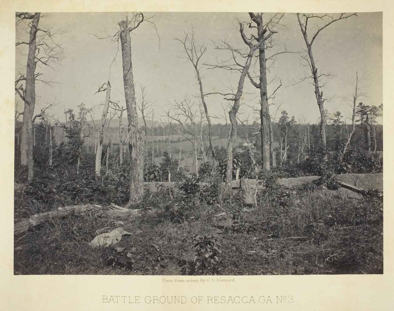 Battle Ground of Resacca, GA, č. 3 od George N. Barnard