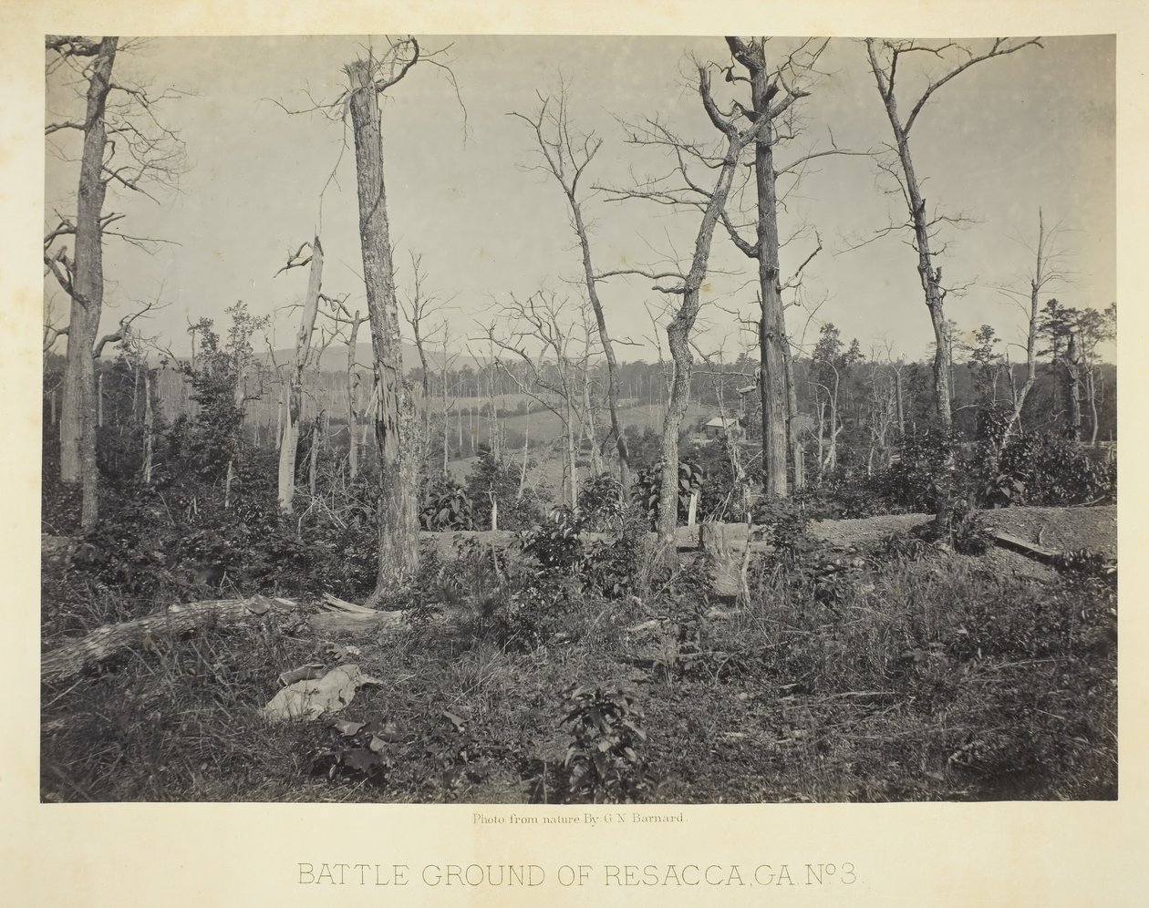 Battle Ground of Resacca, GA, č. 3, 1866. od George N. Barnard