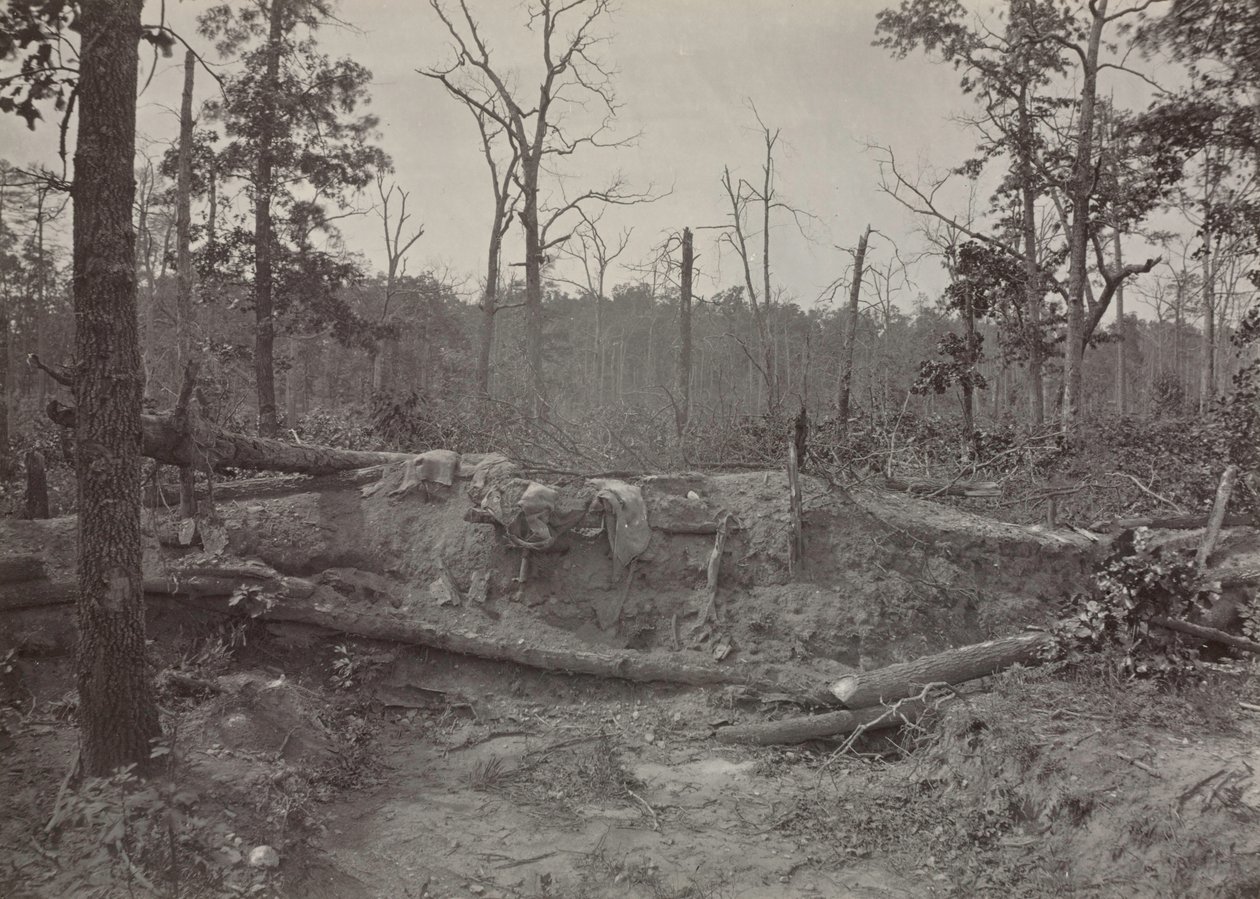 Kostel Battlefield of New Hope, Georgia, č. 2, 1865-1866. od George N. Barnard