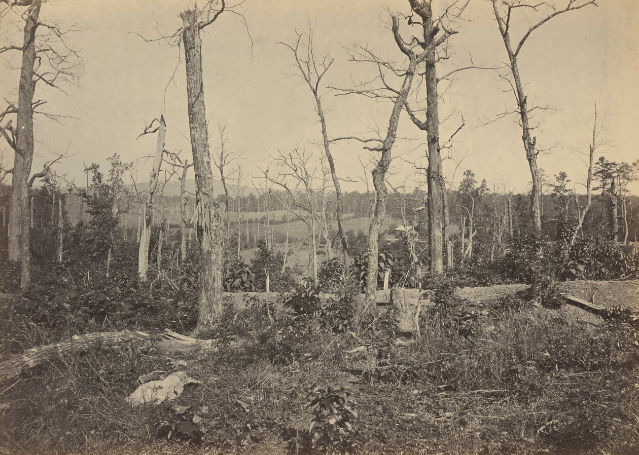 Bojiště u Resacy, Georgia, č. 3,1864 (foto) od George N. Barnard