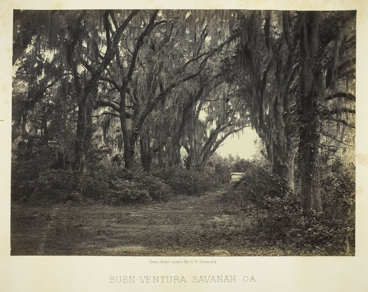 Buen-Ventura Savannah, Ga. od George N. Barnard