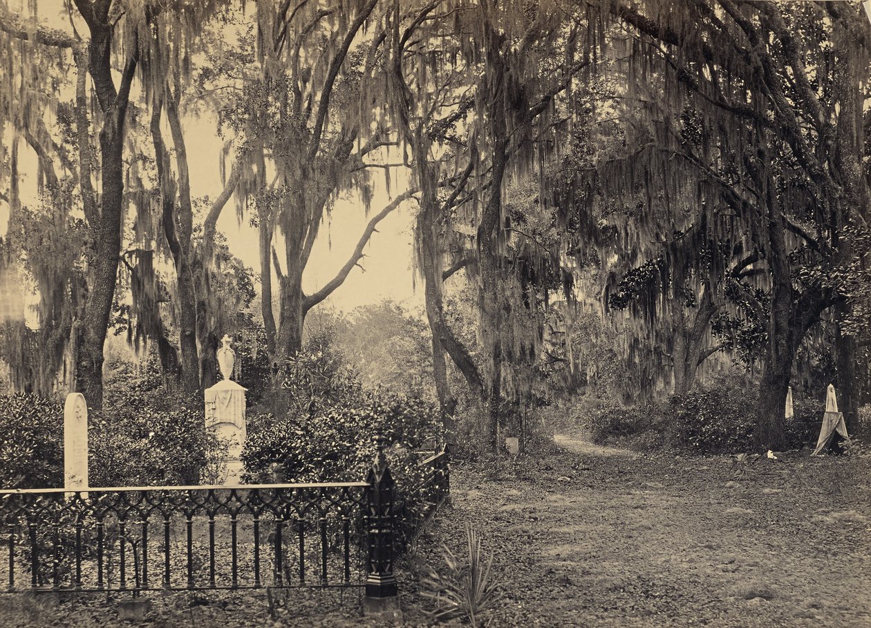 [Buen-Ventura, Savannah, Georgie] od George N. Barnard